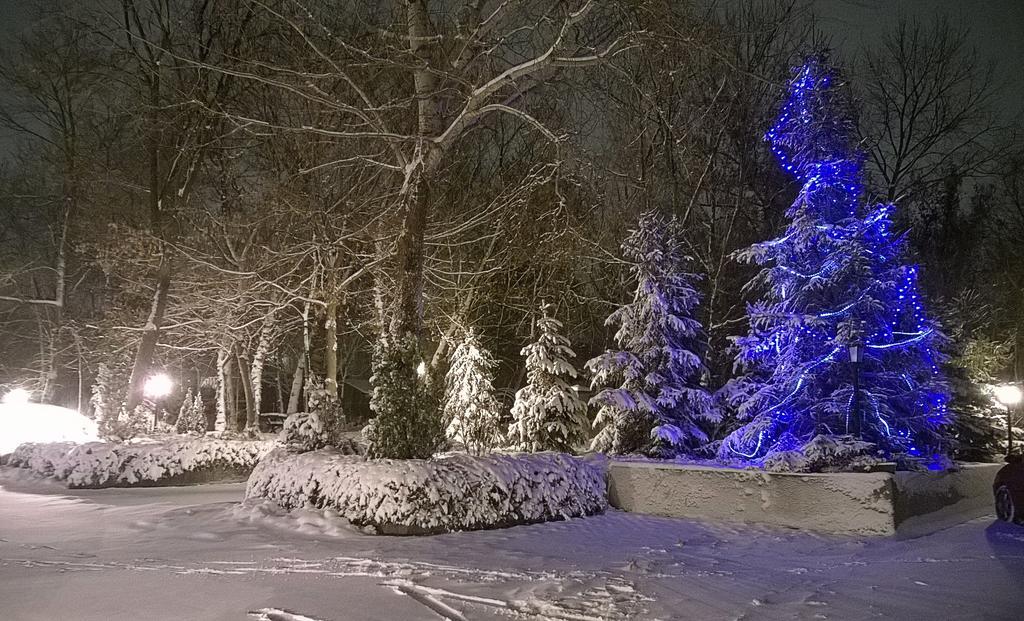 Villa Forest Belgrad Dış mekan fotoğraf