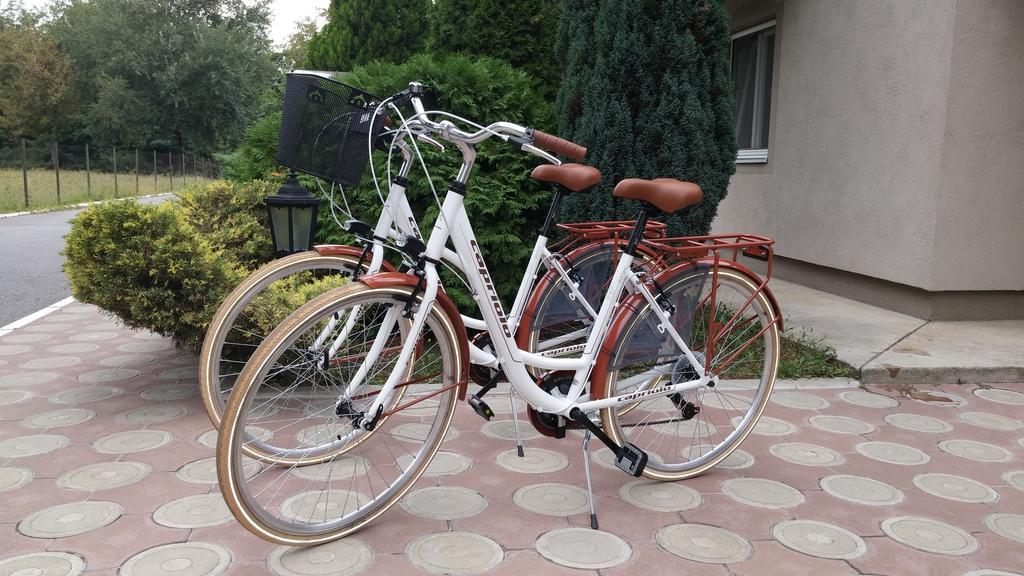 Villa Forest Belgrad Dış mekan fotoğraf